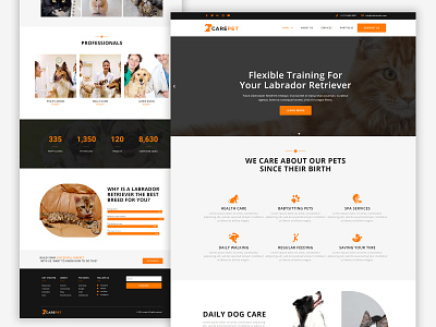 Pet Care Website 3d animation app branding design graphic design icon illustration illustrator logo minimal motion graphics typography ui vector web web design web development website website development