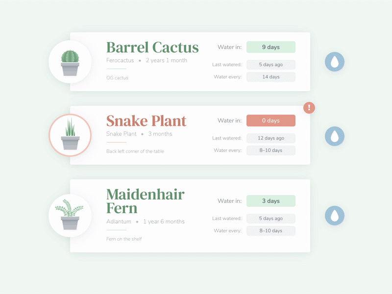 Succulent Status animation cactus cards dashboard fern green illustration jade plant plants schedule succulent succulents tracker