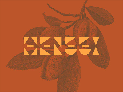 Henggi Nutmeg Soap branding design graphic design identity illustration logo vector