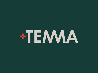 Temma Studio ani branding gif graphic design identity logo vector