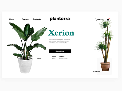 Plantorra landing page adobe xd branding design earth ecology ecommerce landing page landing page ui plant app plant website plants