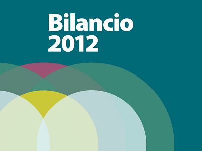 Bilancio book color scheme cover print