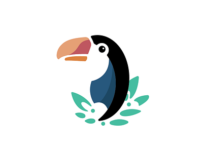 Toucan