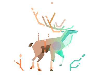 Stag