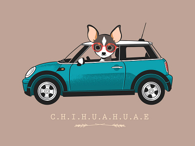 CHIHUAHUAE animals car chihuahua cute dog mini cooper puppies puppy vintage