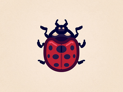 Ladybug bug illustrator insect ladybug minimal vector