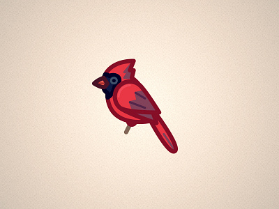 Cardinal bird cardinal illustrator minimal