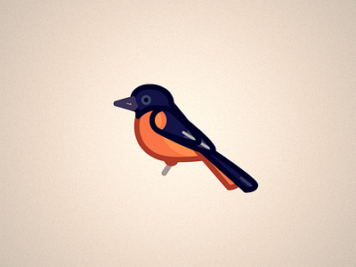 Oriole bird illustrator minimal oriole