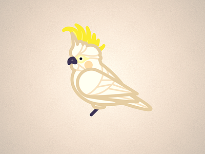Cockatoo bird cockatoo illustrator minimal
