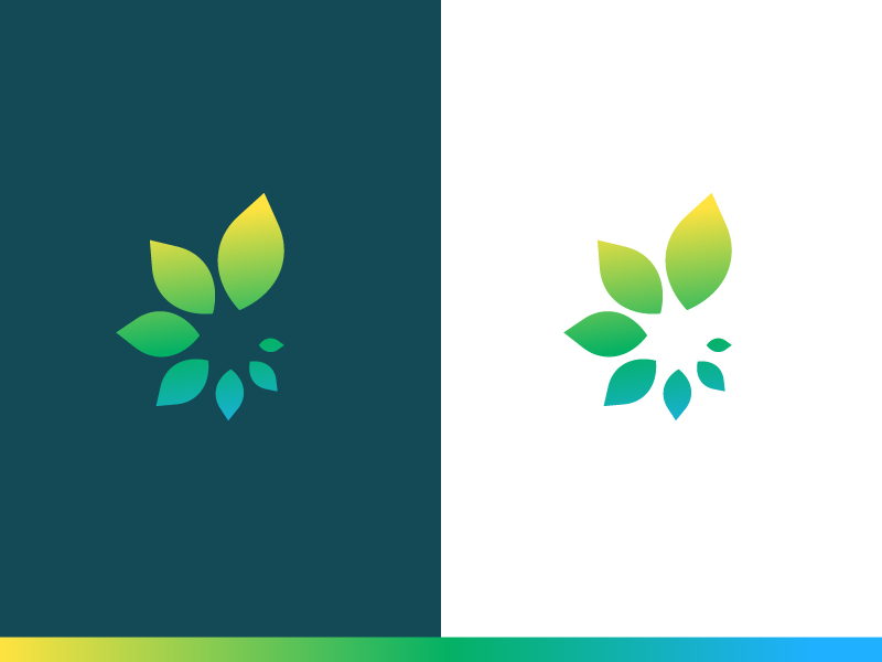 Healthcare Logo - Option 4 by Peter Hershey on Dribbble