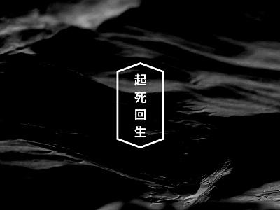 起死回生 black and white branding design japanese logo