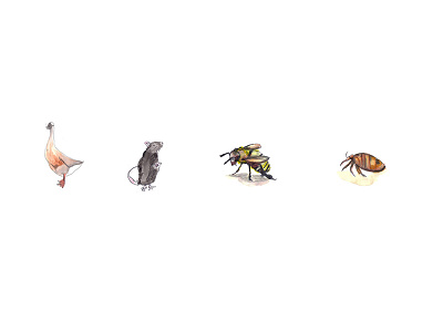 Watercolour illustrations for Vepo diensten animals icons illustration watercolour