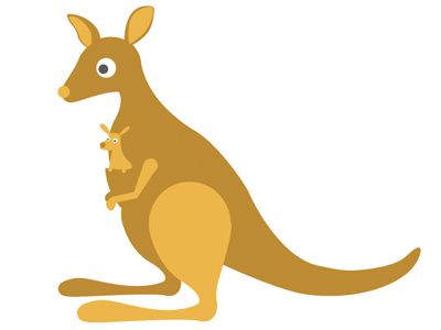 Kangaroo illustration illustration