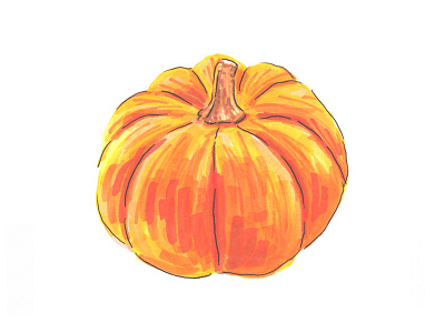 Pumpkin Illustration