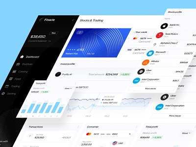 Finacle: finance dashboard