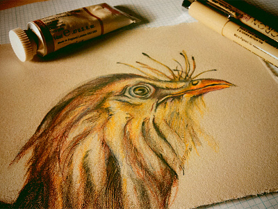 Sketchbook Birds: Chicken birds drawing sketchbook sketches