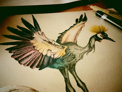 Sketchbook Birds: Crane