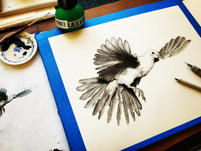 Dove. Pencil & sumi ink. atlanta artist bird black white drawing graphite illustration ink pencil realism sketchbook workinprogress
