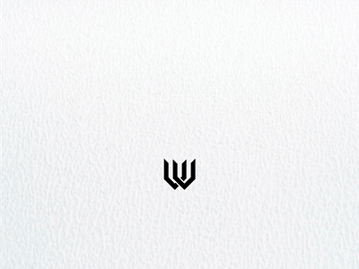 VV logo concept