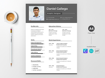CV/Resume Concept Design Canva || CV/Resume Canva Template