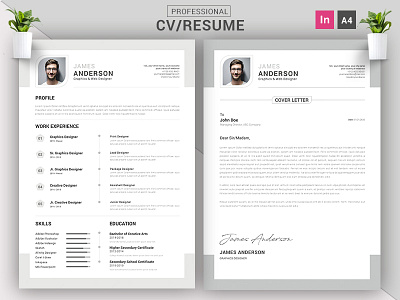 CV/Resume Concept Design || CV/Resume Indesign
