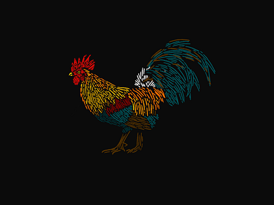 ROOSTER