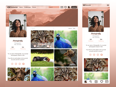 DailyUI 006 - User Profile on Photoclub