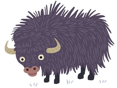 Yak