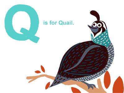 Quail animation cartoon childrens books comics education graphic ibooks ipad