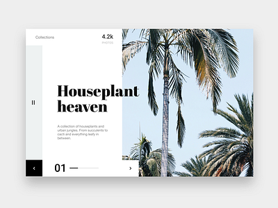 Houseplant Heaven design gallery palm trees ui ux web
