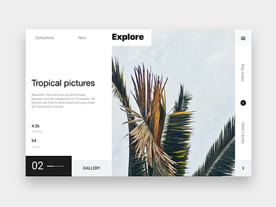 Tropical Pictures design gallery palm trees ui ux web