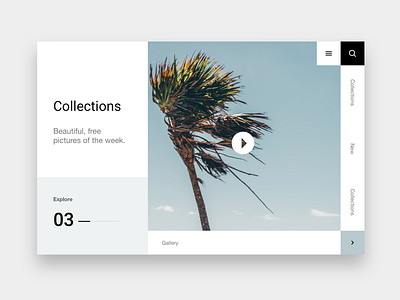Web Collections design gallery palm trees ui ux web