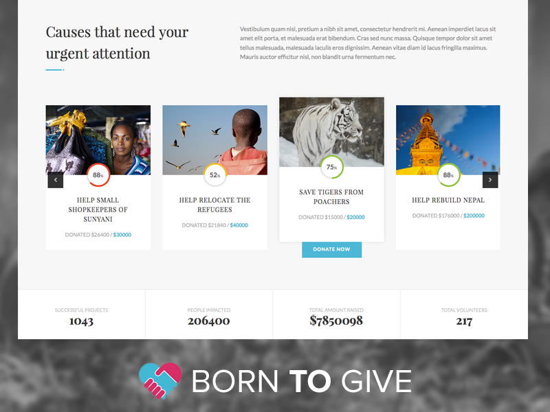 Born To Give - Campaigns school organization nonprofit non-profit ngo kids fundraising fund foundation donation donate charity