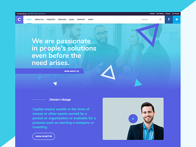 Capital Theme Variation blue consulting finance html5 insurance wordpress