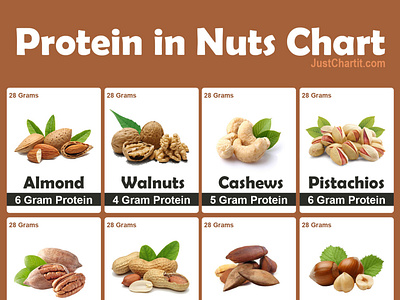 Protein in Nuts by Shah Nawaz on Dribbble