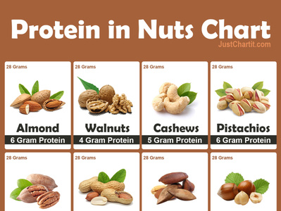 Protein In Nuts By Shah Nawaz On Dribbble