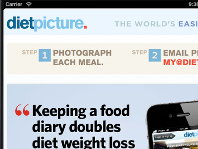 DietPicture explained view diet iphone nutrition reference tracking