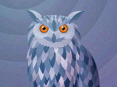 The Owl Stares bird illustration night owl stare