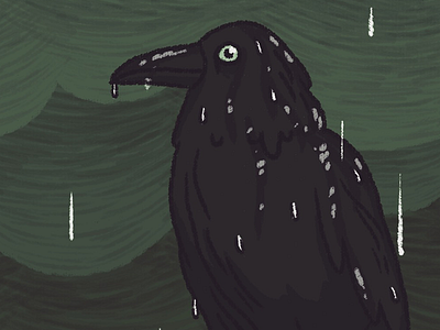 Crow (close up) clouds crow dark design drawing illustration photoshop rain