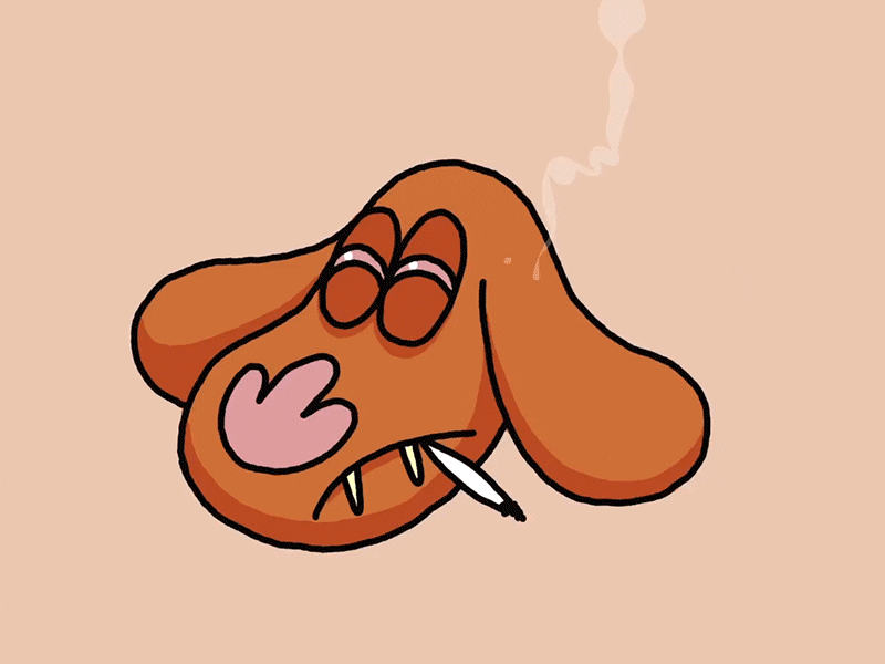 Smoking Doggo by Andrew Bell on Dribbble
