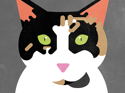Cali animal cat illustration