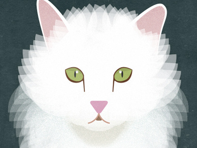 Jon Jon animal cat illustration