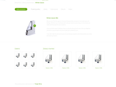 Window LP product page landing page shop web design website window