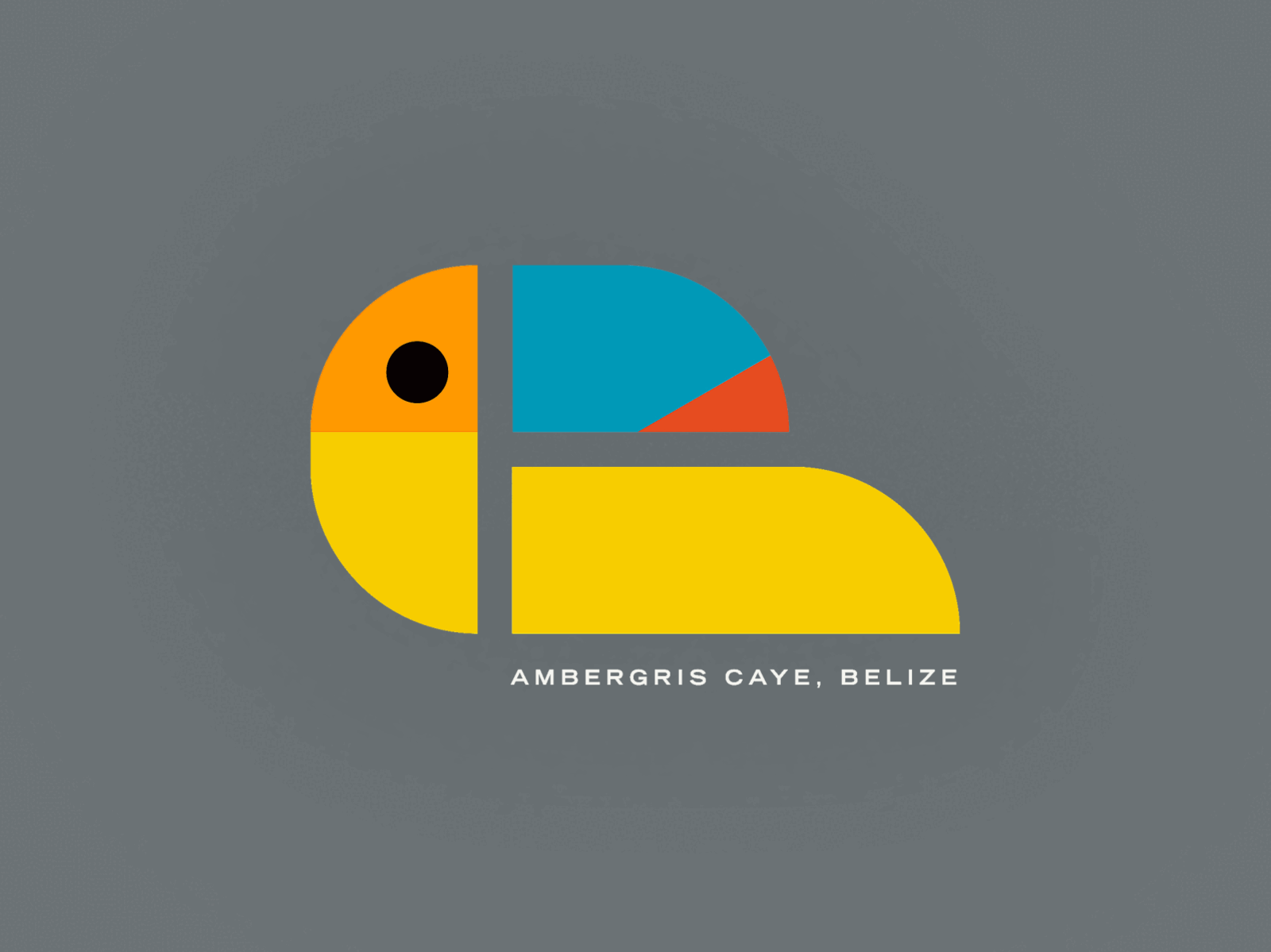 Ambergris Cay belize bird blue caribbean clean cvetan flat geometric holiday illustration milwaukee minimal modern tucan turquoise typography vacation vturquoise