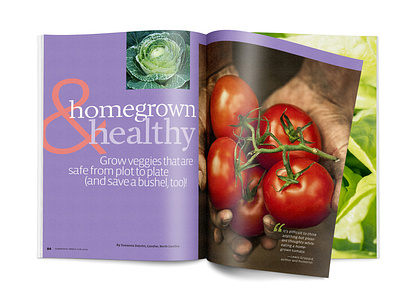 Homegrown & Healthy ampersand article bright cabbage clean cvetan design fruit healthyfood magazine milwaukee purple tomato typography vegetable