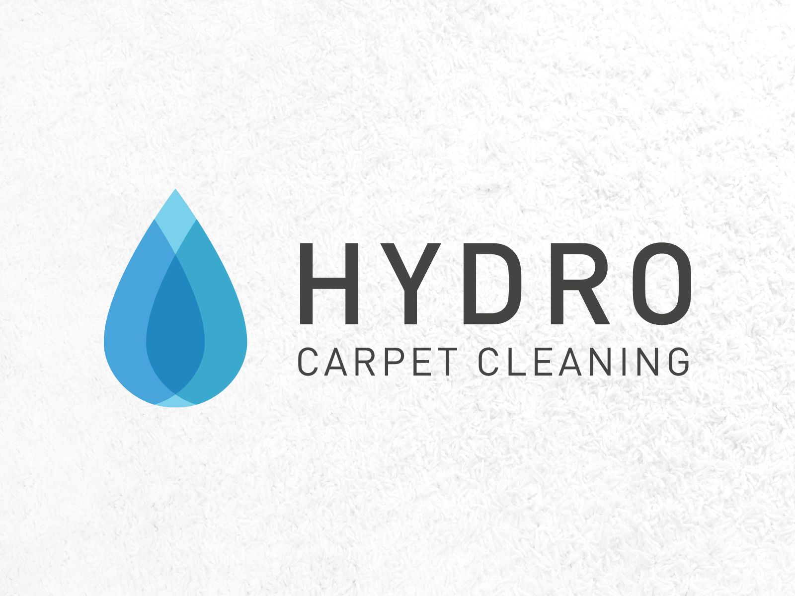 carpet cleaning logo design