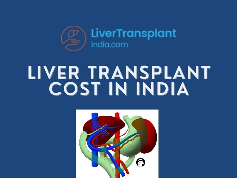 Explore The Best Liver Transplant Cost In India By Liver Transplant India On Dribbble