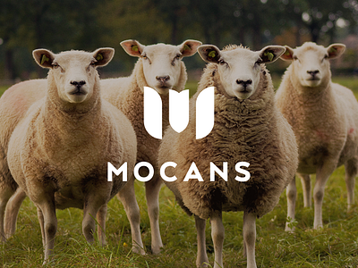 Mocans brand carpet flower fur leather letterform logo m minimalistic mocans monogram natural sheep shoes wool