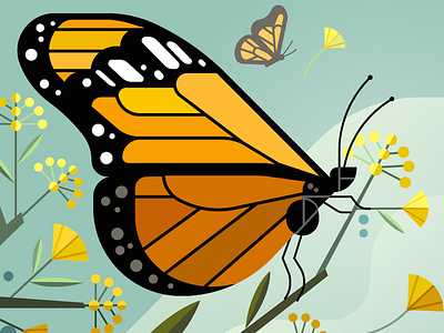 Monarch Butterfly alice by yang