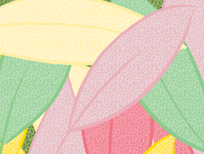 Colorful Leaves design graphic design illustration